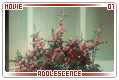 rgu_adolscence01