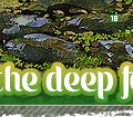 intothedeepforest18