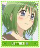 lettucemidorikawa10