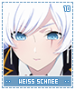 weissschnee10