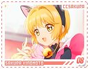 ccsakura-sakura08