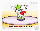 pokemon-platinum09
