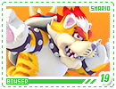 smario-bowser19