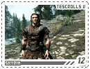 tescrollsv-skyrim12