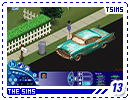 tsims13