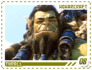 wowarcraft-thrall08